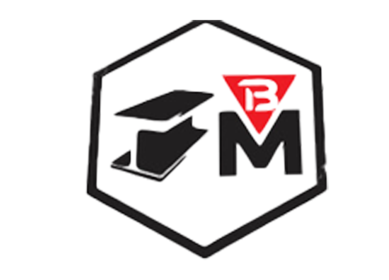 Bini Metal Logo